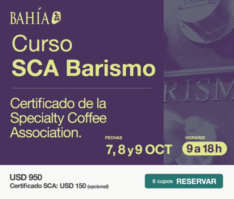 Curso SCA Barismo