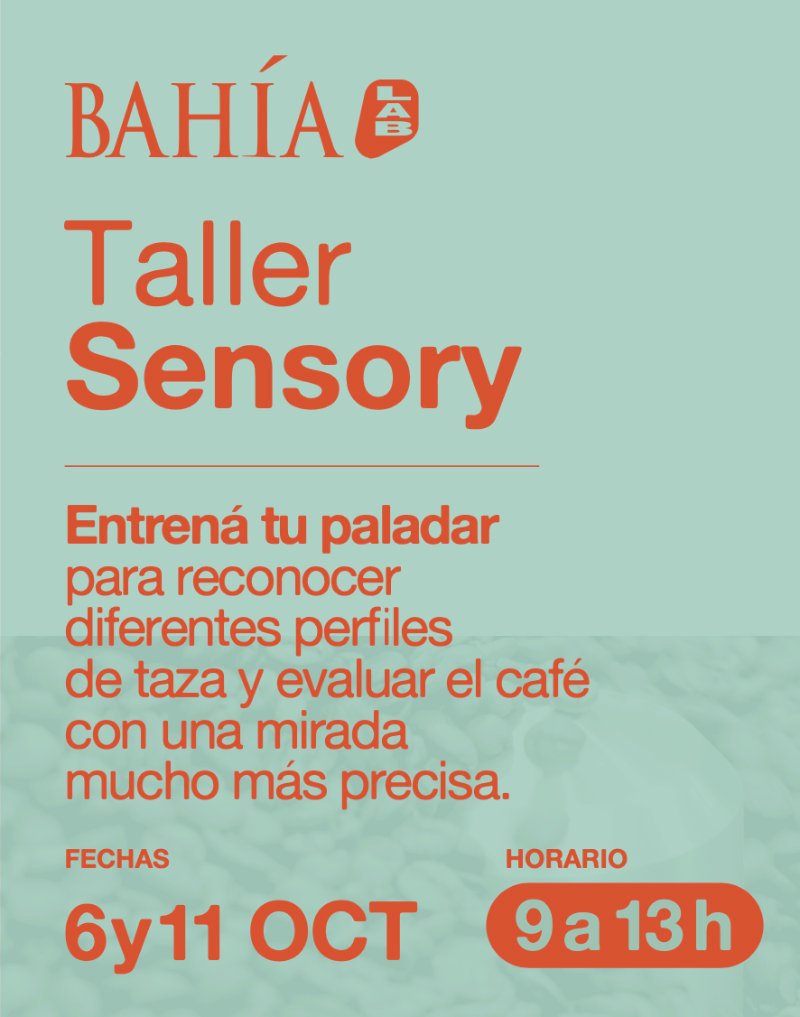 Taller Sensory Taller Sensory